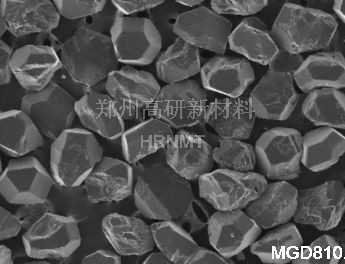 <b>MGD810</b>