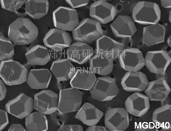 <b>MGD840</b>