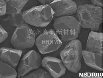 MSD1010
