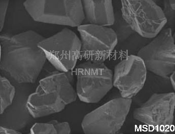 MSD1020